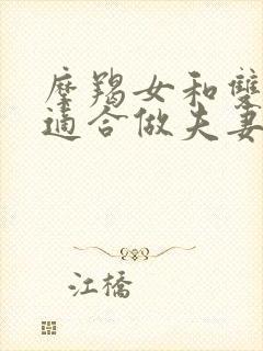 摩羯女和双子男适合做夫妻吗封面