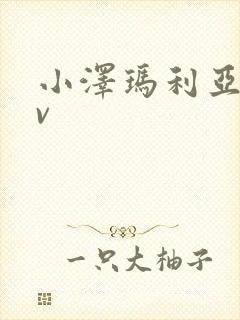 小泽玛利亚 av封面