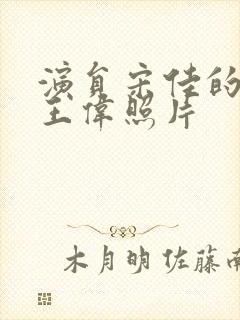 演员宋佳的丈夫王伟照片