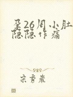 孕26周小肚子隐隐作痛封面