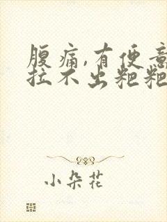 腹痛,有便意,拉不出粑粑