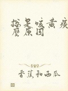 总是咳黄痰是什么原因