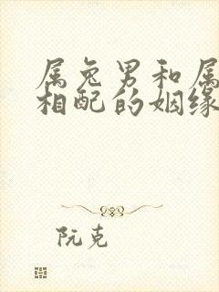 属兔男和属牛女相配的姻缘好吗