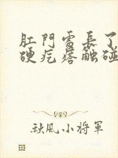 肛门处长了一个硬疙瘩触碰有点疼封面