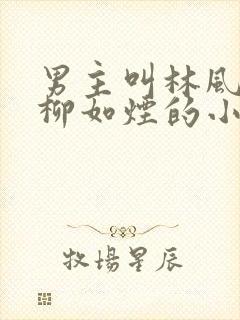 男主叫林风女主柳如烟的小说