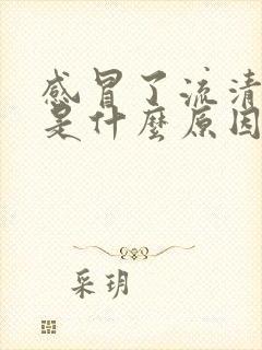 感冒了流清鼻涕是什么原因