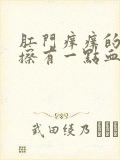 肛门痒痒的用纸擦有一点血封面