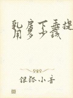 乳房下垂提升费用多少钱