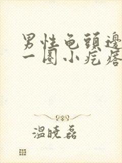 男性龟头边缘有一圈小疙瘩封面