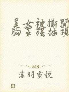 美女被撕开内裤胸罩强插视频