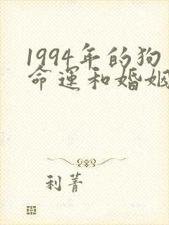 1994年的狗命运和婚姻怎样
