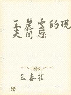 王丽云的现任丈夫简历封面