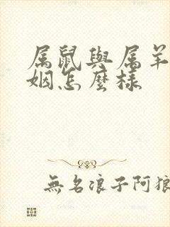 属鼠与属羊的婚姻怎么样封面