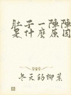 肚子一阵阵的痛是什么原因啊