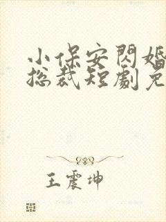 小保安闪婚美女总裁短剧免费观看