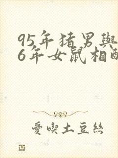 95年猪男与96年女鼠相配吗