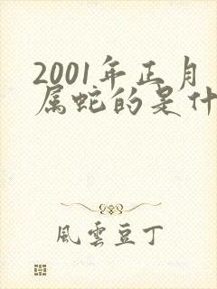 2001年正月属蛇的是什么命封面