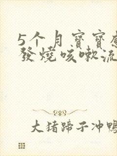 5个月宝宝感冒发烧咳嗽流鼻涕怎么办呢