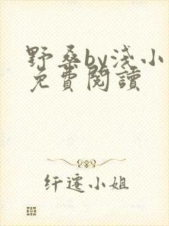 野桑by浅小说免费阅读