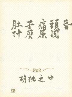 肚子痛头昏想吐什么原因封面