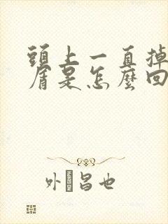 头上一直掉头皮屑是怎么回事封面