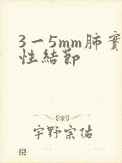 3一5mm肺实性结节