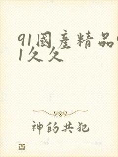 91国产精品91久久