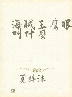 海贼王鹰眼的刀叫什么