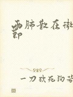 两肺散在微小结节