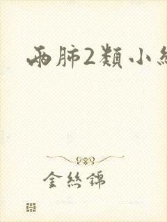 两肺2类小结节封面