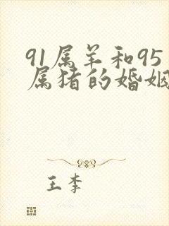 91属羊和95属猪的婚姻如何封面