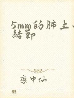 5mm的肺上小结节