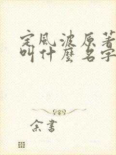 定风波原著小说叫什么名字