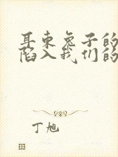 耳东兔子的小说陷入我们的热恋封面