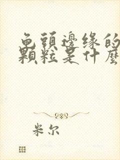 龟头边缘的白色颗粒是什么