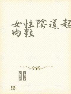 女性阴道起小红肉粒封面