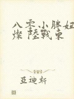 八零小胖妞 苏灿 陆战东