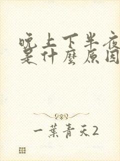 晚上下半夜失眠是什么原因