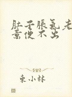 肚子胀气老有便意便不出