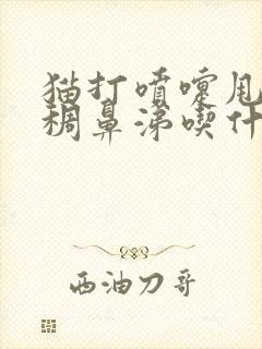 猫打喷嚏甩出浓稠鼻涕吃什么药