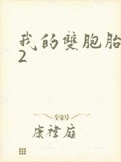 我的双胞胎姐妹2