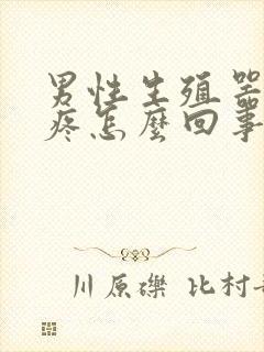 男性生殖器上面疼怎么回事