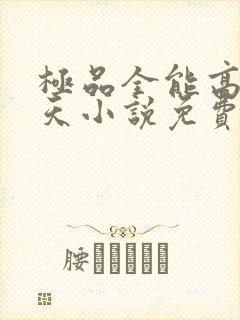 极品全能高手夏天小说免费阅读