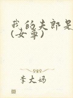 我的夫郎是弃夫(女尊)