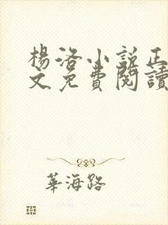 杨洛小说正版全文免费阅读