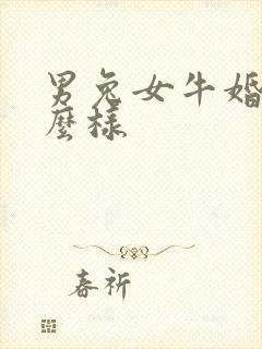 男兔女牛婚姻怎么样封面