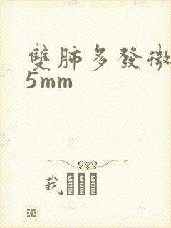 双肺多发微结节5mm