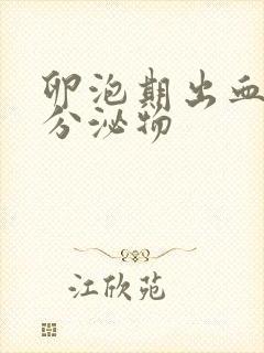 卵泡期出血褐色分泌物