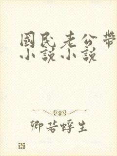 国民老公带回家小说小说封面