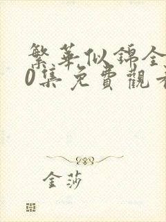 繁华似锦全集40集免费观看完整版封面